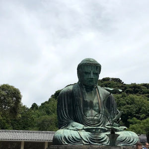 Meet your Posher, Jin